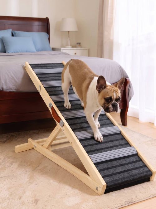 Caninify Orthopedic Dog Ramp — Adjustable Height for Bed & Couch