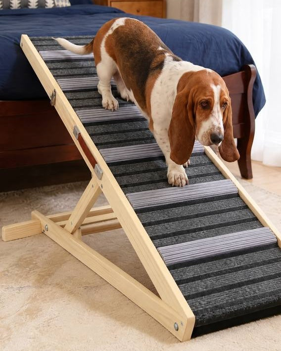 Caninify Orthopedic Dog Ramp — Adjustable Height for Bed & Couch