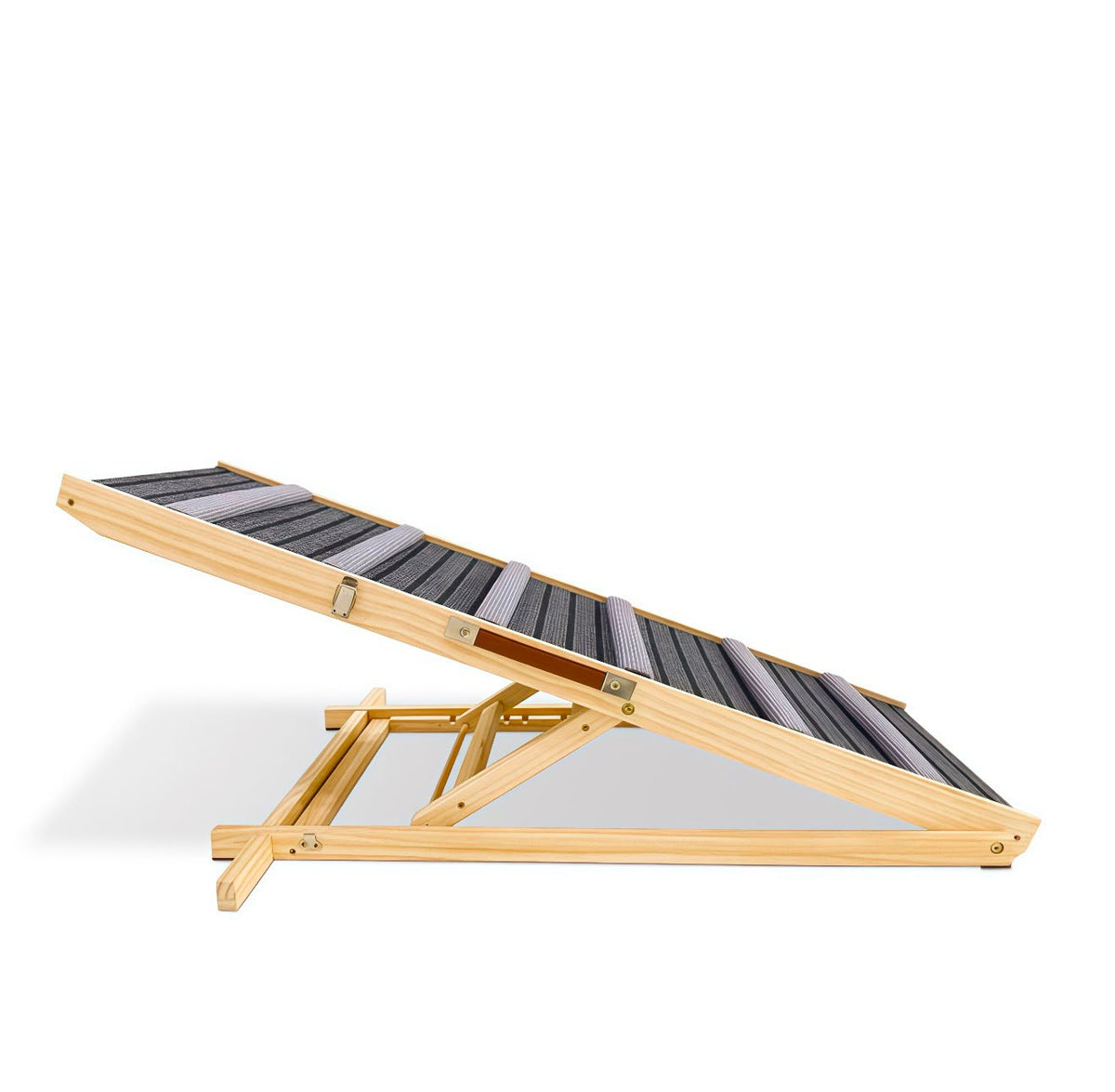 The Caninify ramp set at a gentle angle, studio shot